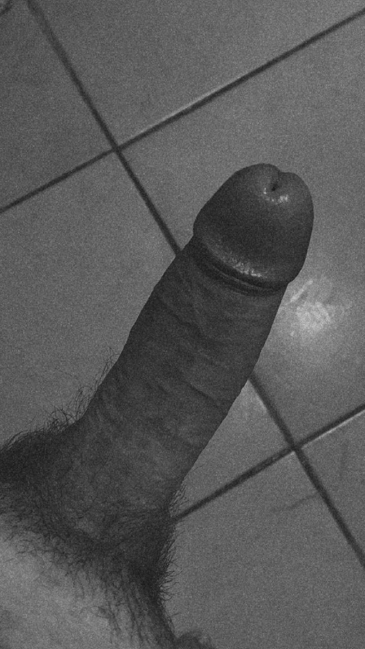f56e3b97-6d27-4f0e-8409-f6523a8f0346